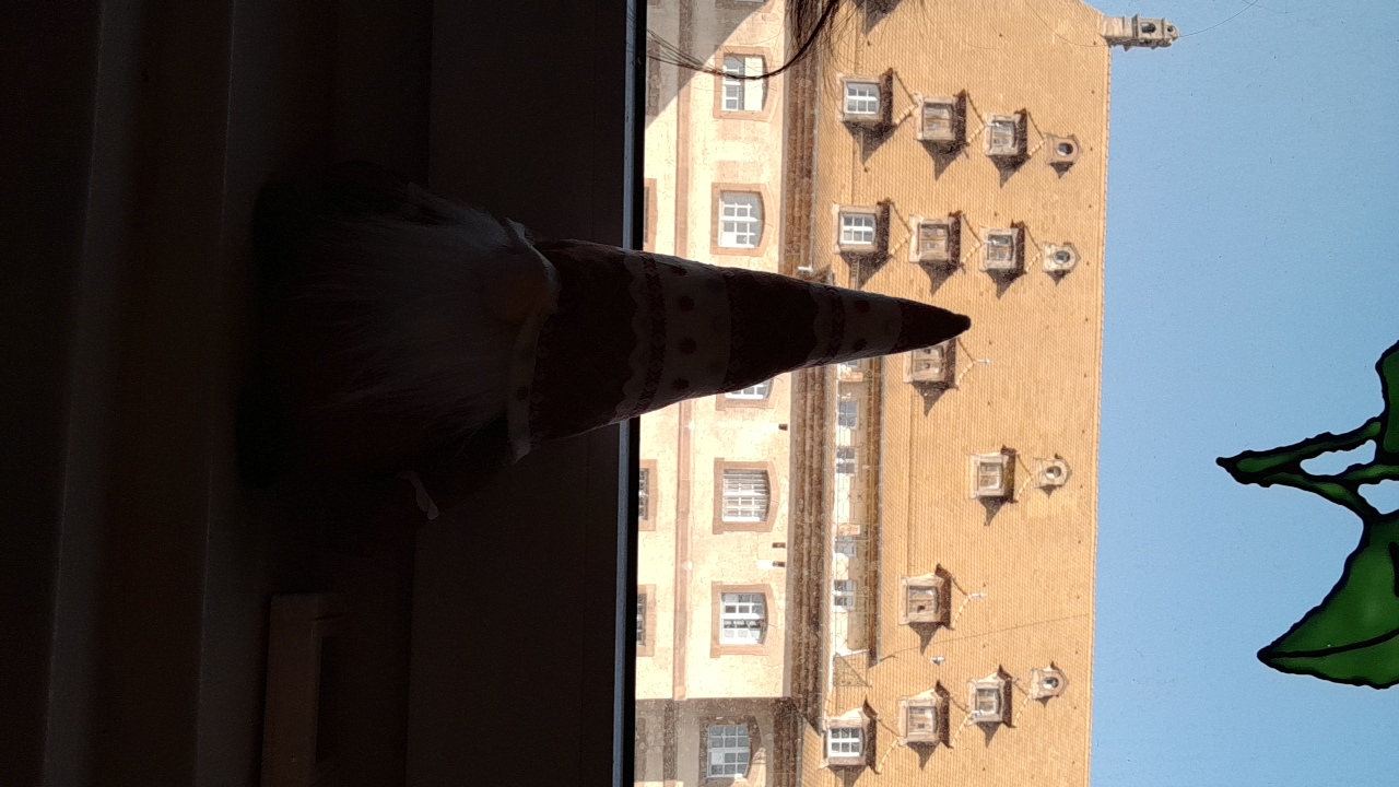 sg.0108's profile picture