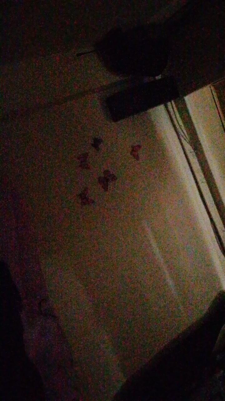 FM-optXm1's profile picture