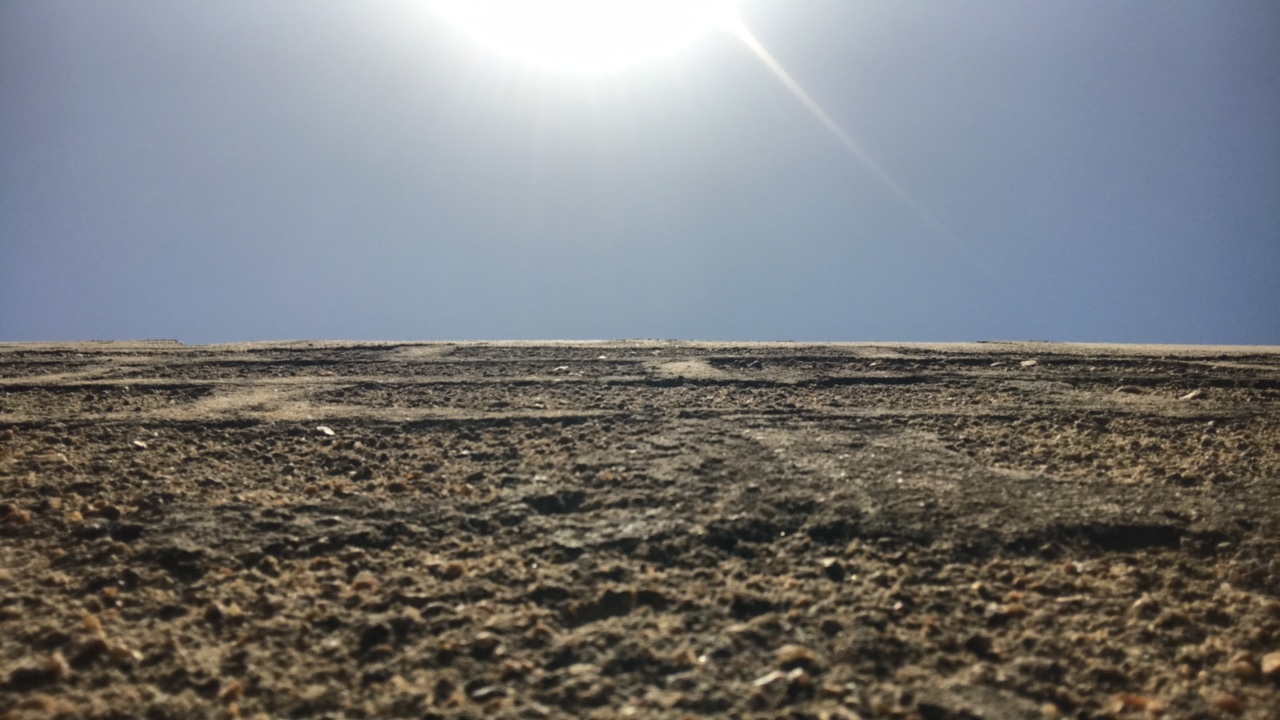 Osecyrus👁View 's profile picture