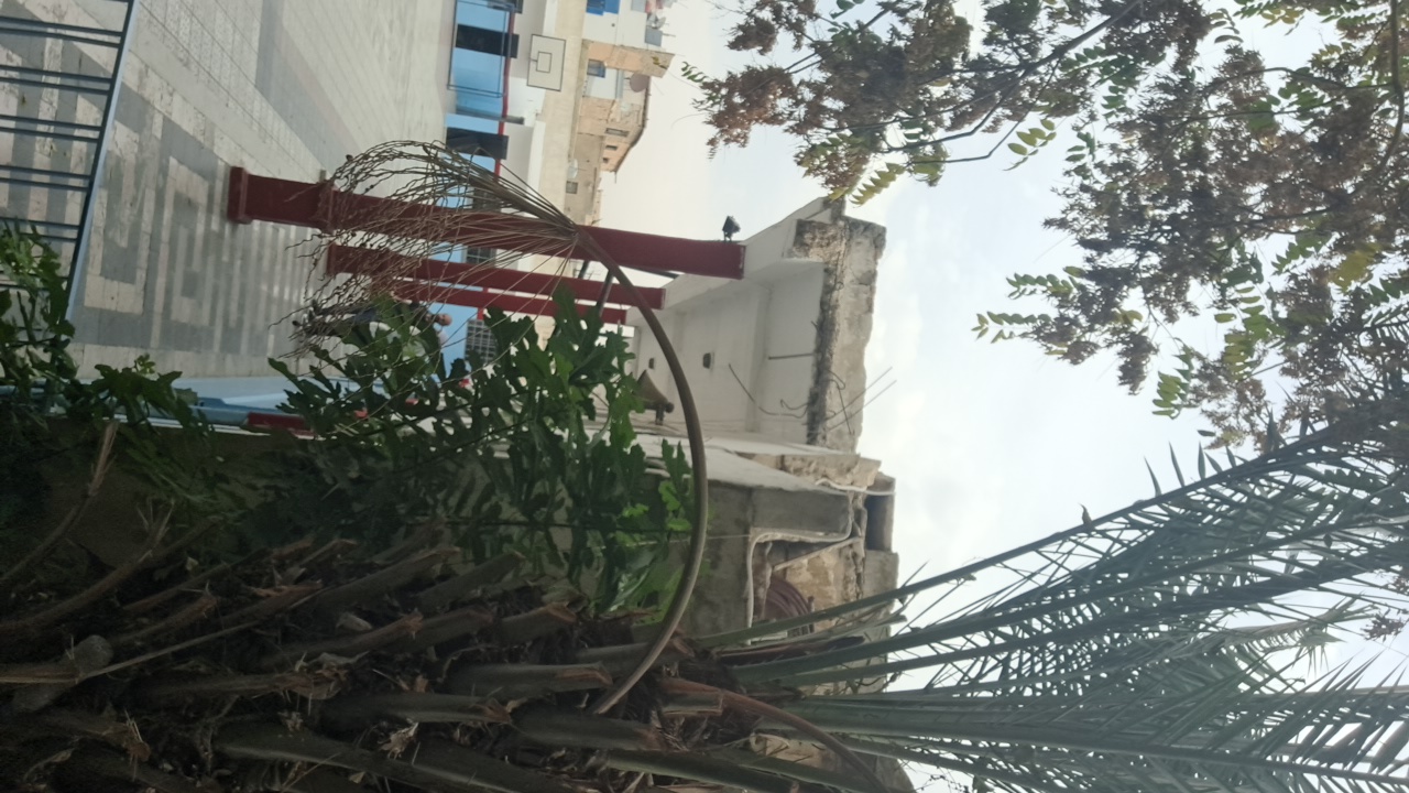 FM-F5kpk1's profile picture