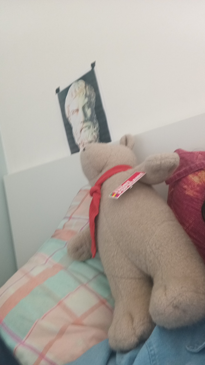 FM-F5KcO2's profile picture