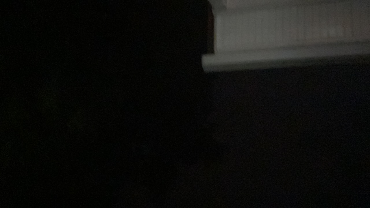 Collective memory 's profile picture