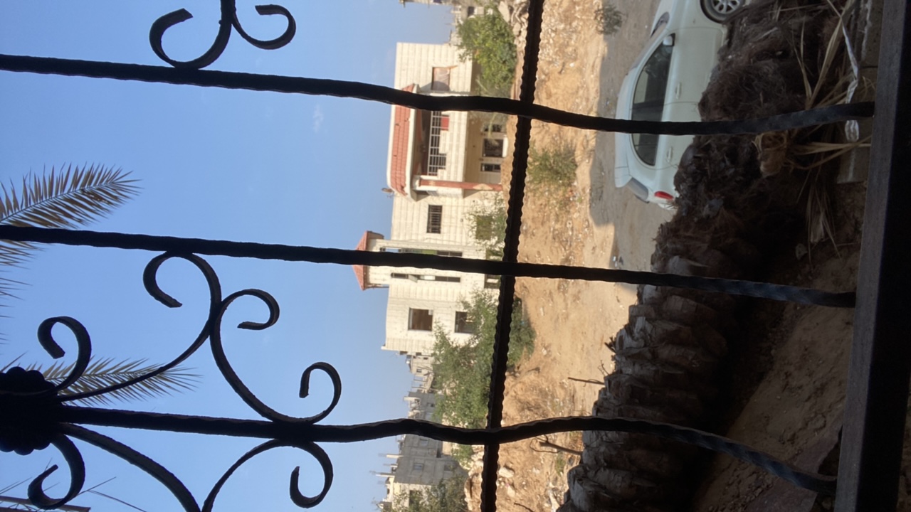 Reemo M 🇵🇸's profile picture