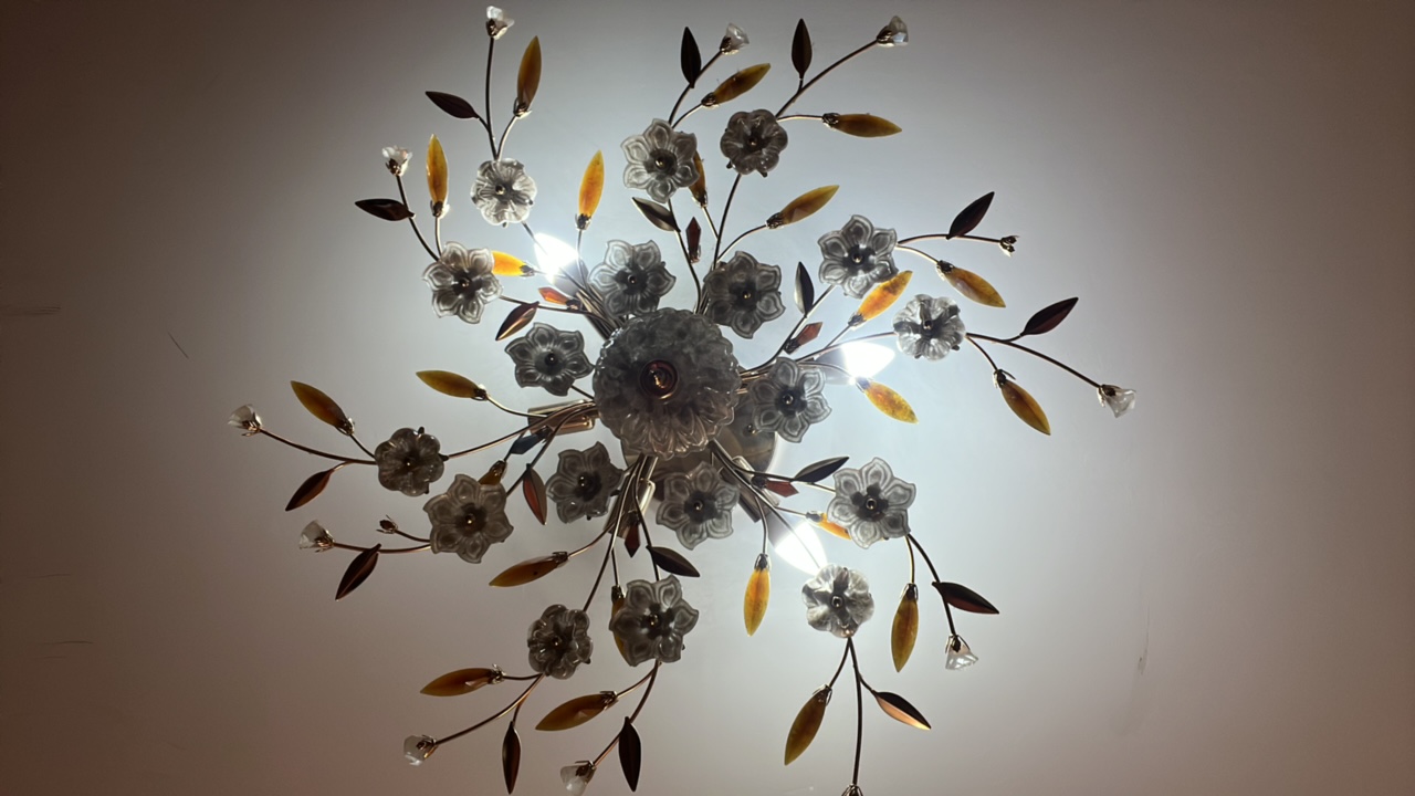 Snigdha's profile picture