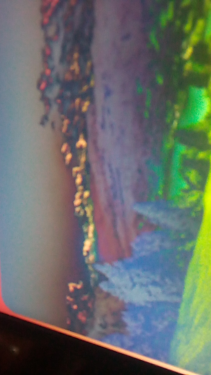 Beautiful Memories 's profile picture