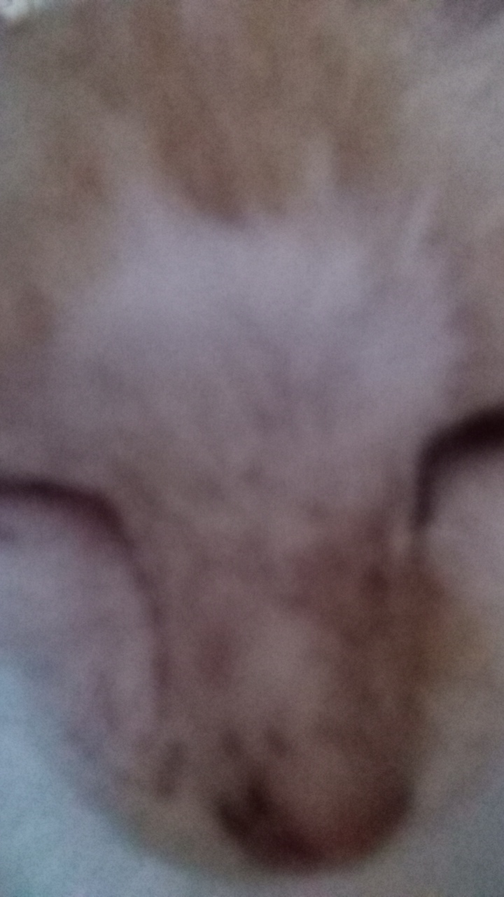 FM-9Fzzt2's profile picture