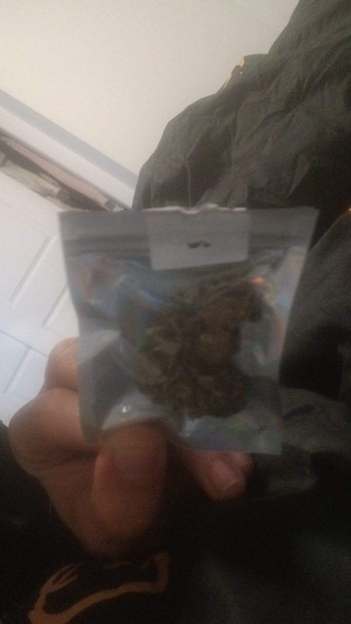 FM-NMScl2's profile picture