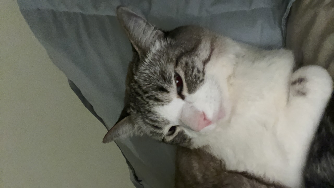 Gabbyrod's profile picture