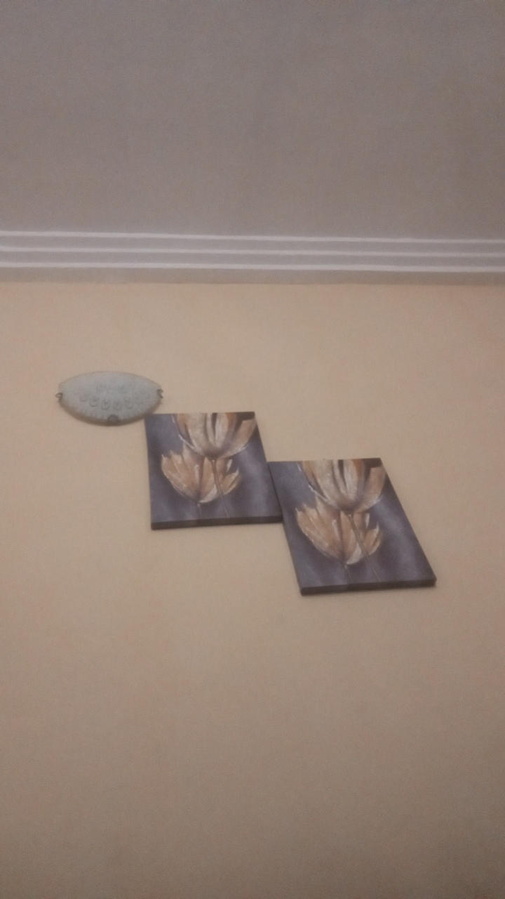 Adun_Sneh✌'s profile picture