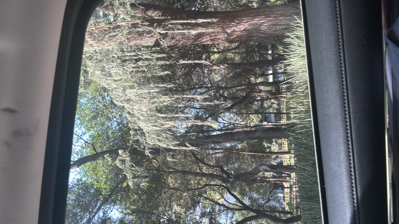 rabadaba's profile picture