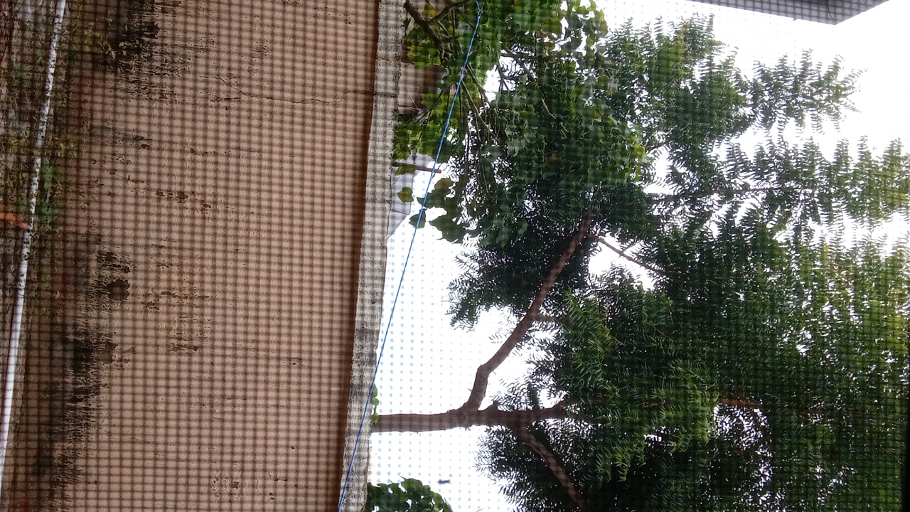 FM-lHF0A3's profile picture