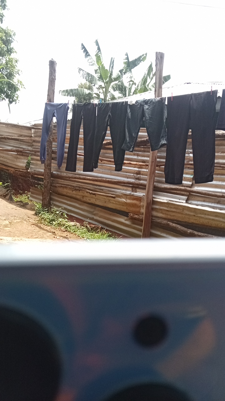 FM-hej8v2's profile picture