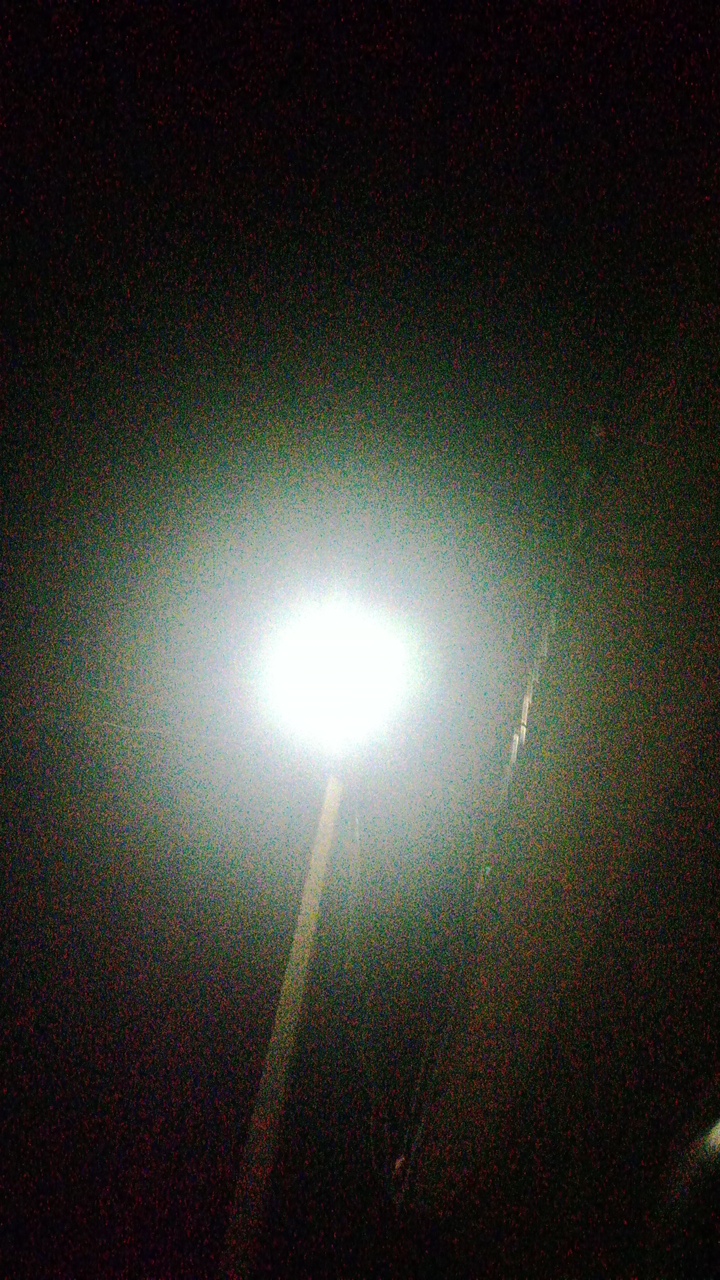 King Yowels's profile picture