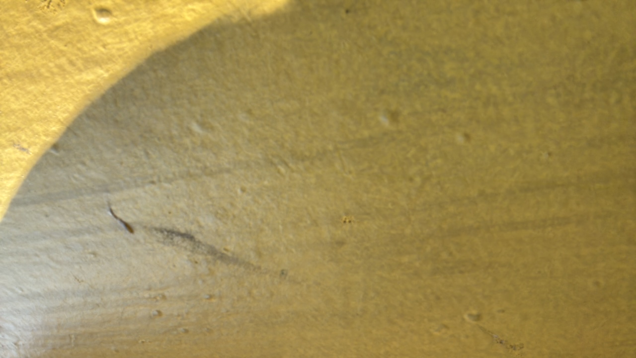 FM-hF3gy1's profile picture