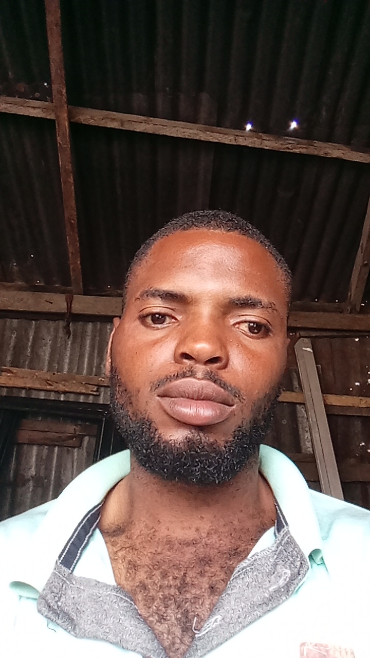 FAVOR 's profile picture