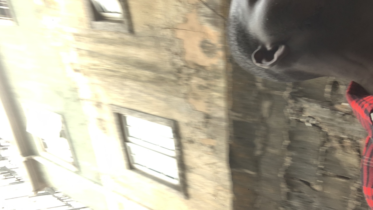 FM-mCqbI3's profile picture