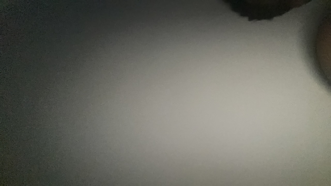 theBot 's profile picture