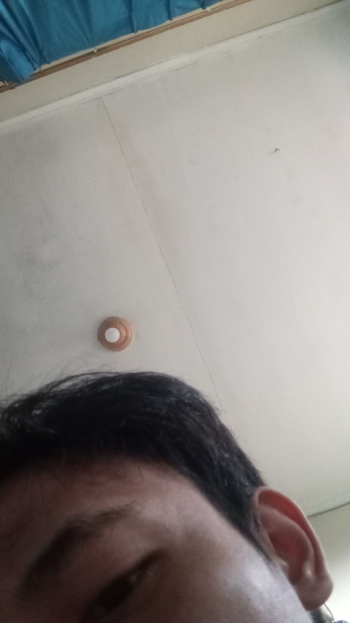 FM-1C8S12's profile picture