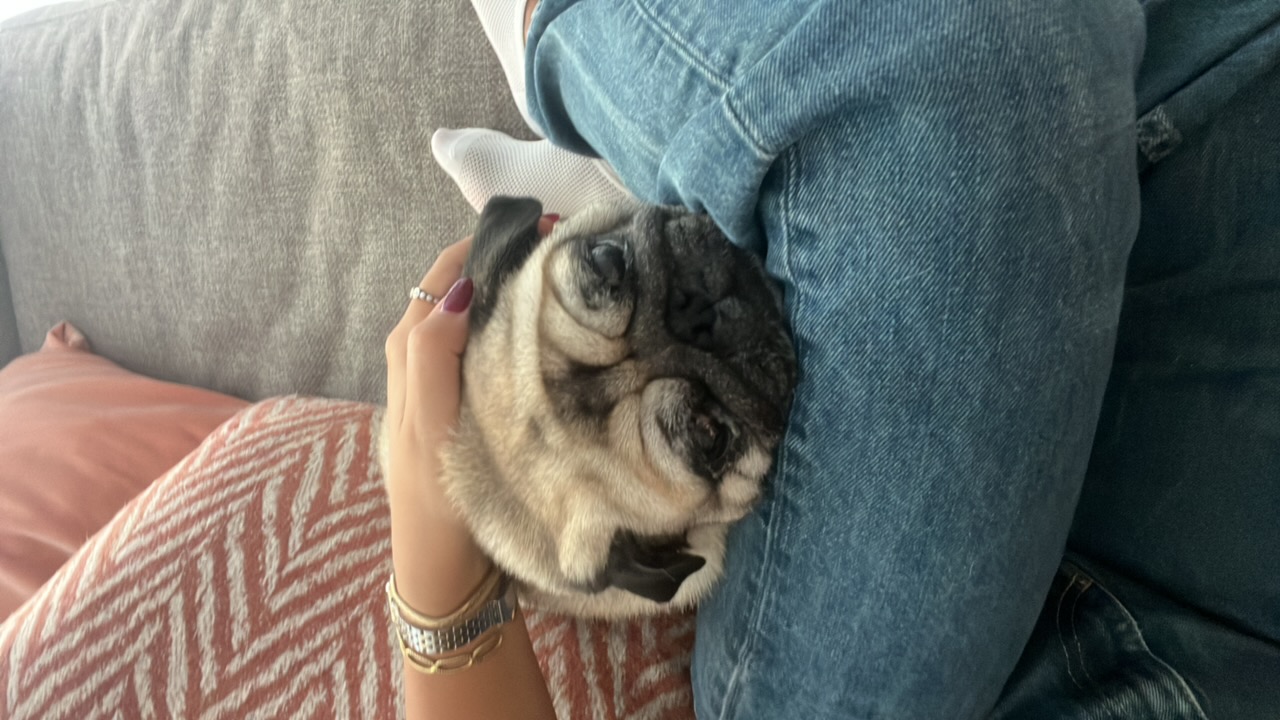 Tita's profile picture