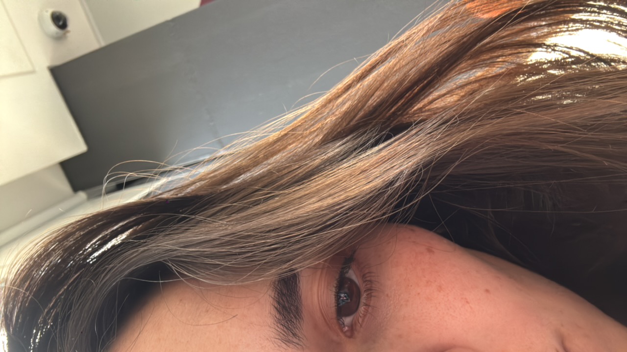 sangutierrez's profile picture