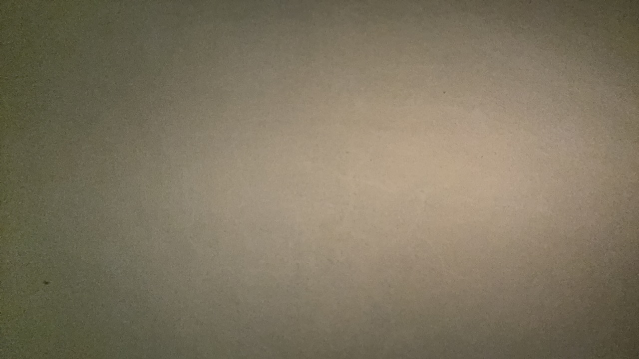 eva22's profile picture
