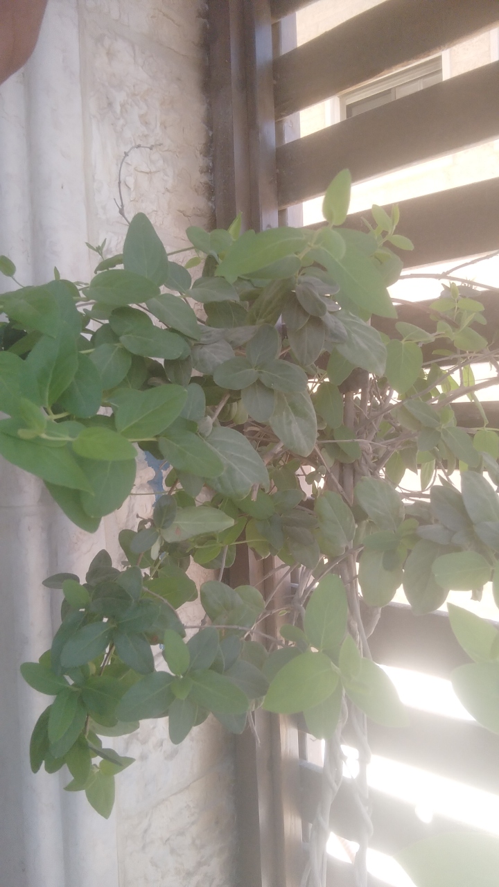 FM-sbnkb2's profile picture