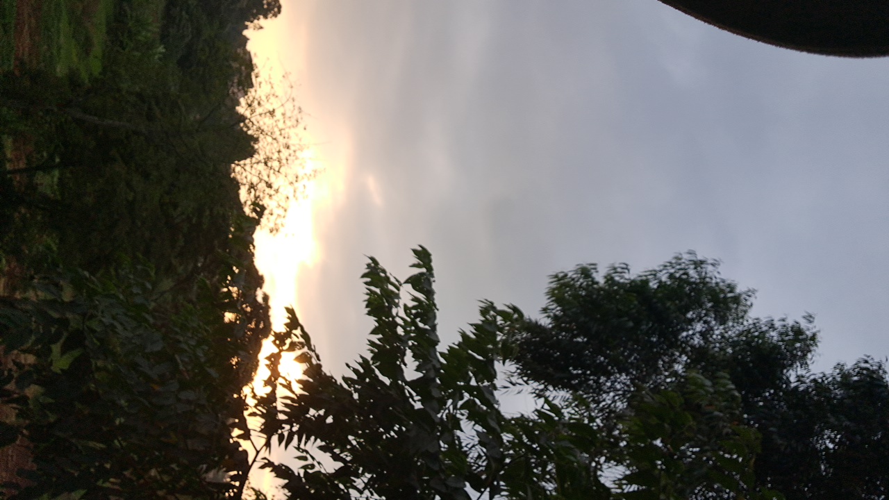 FM-4UYpO2's profile picture