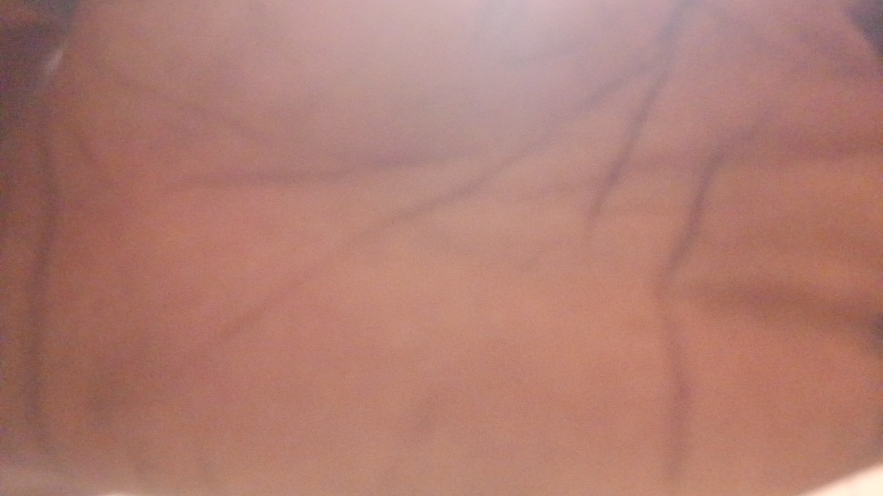 BiBi's profile picture