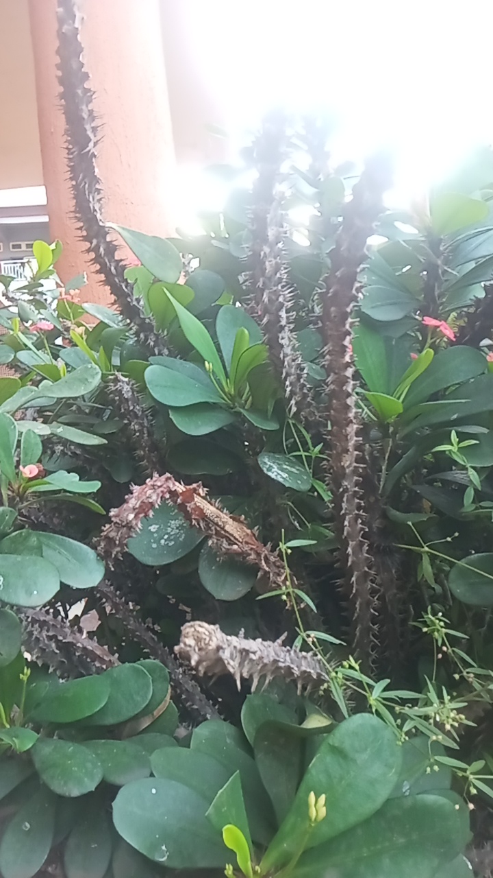 fermino 's profile picture