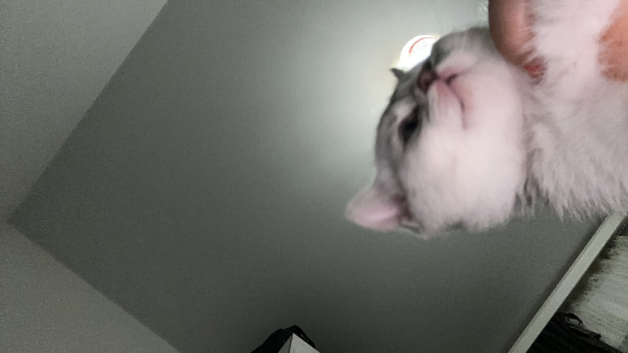 84rNX5US9tSQqO9JgAxeXRti6Lu2