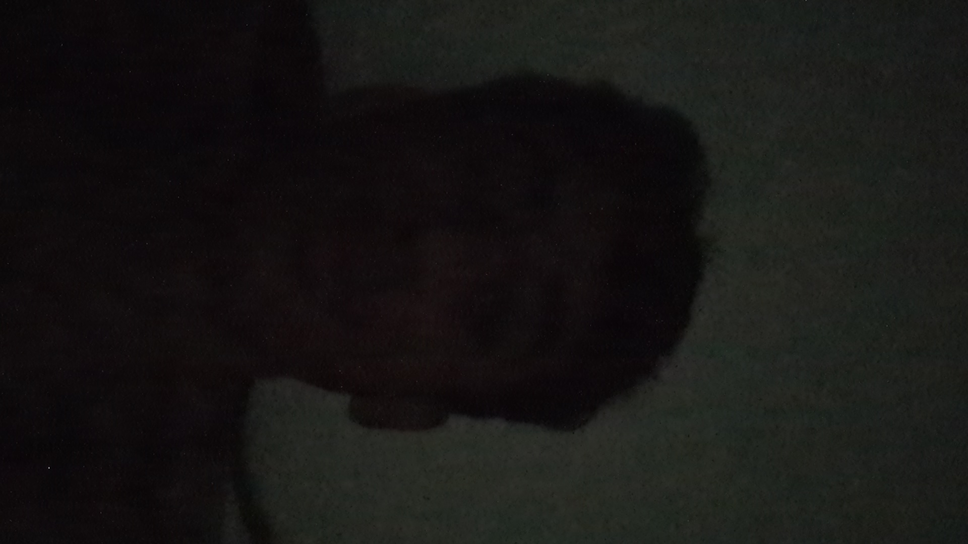 FM-IaixJMb's profile picture
