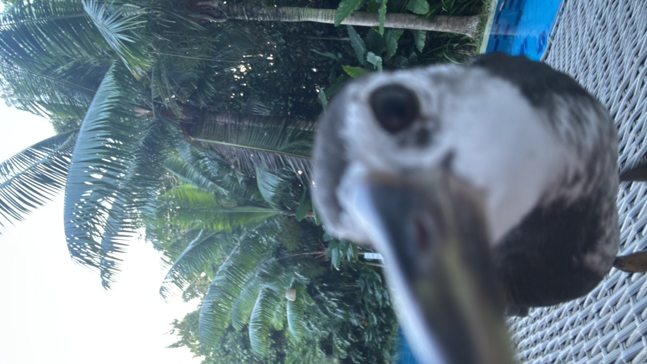 85QVxoNTZESZrmk30oTforqMgfE2