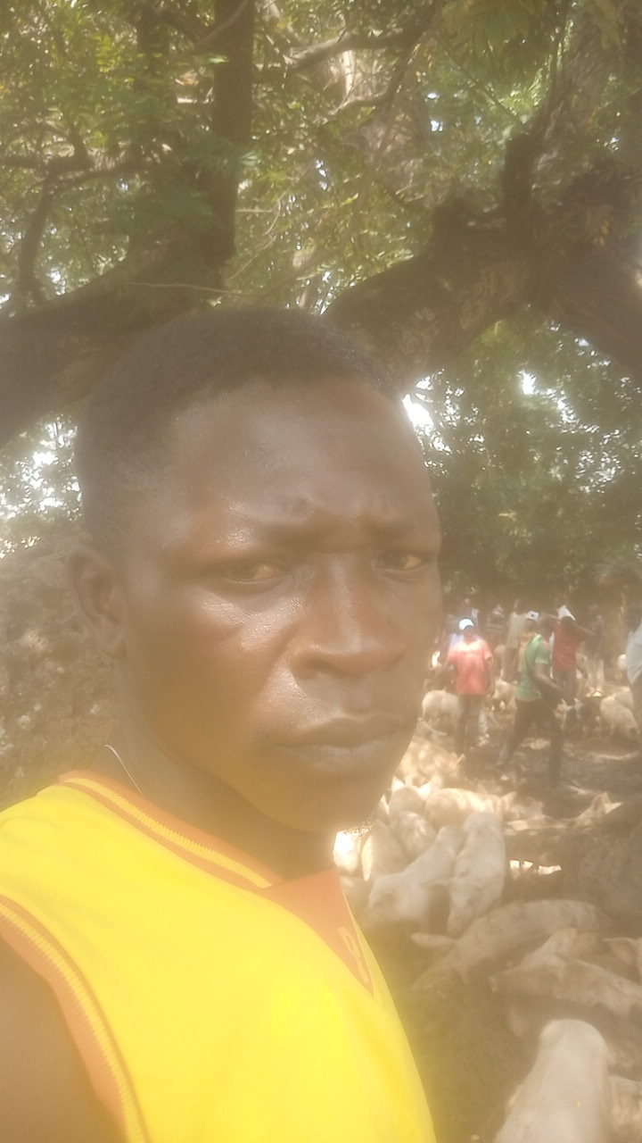 FM-ArV563's profile picture