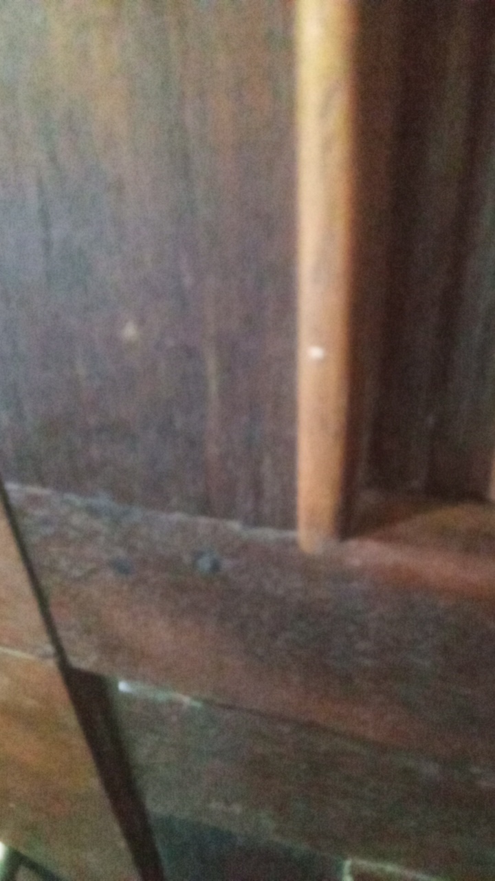 sansan's profile picture