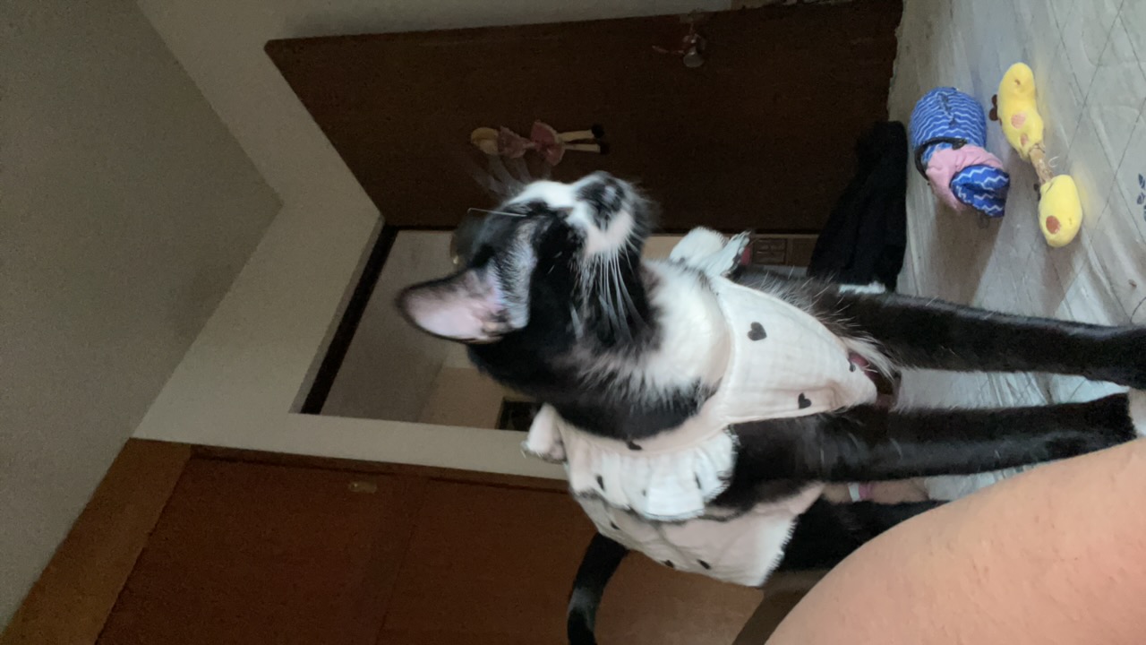 Devalexa's profile picture