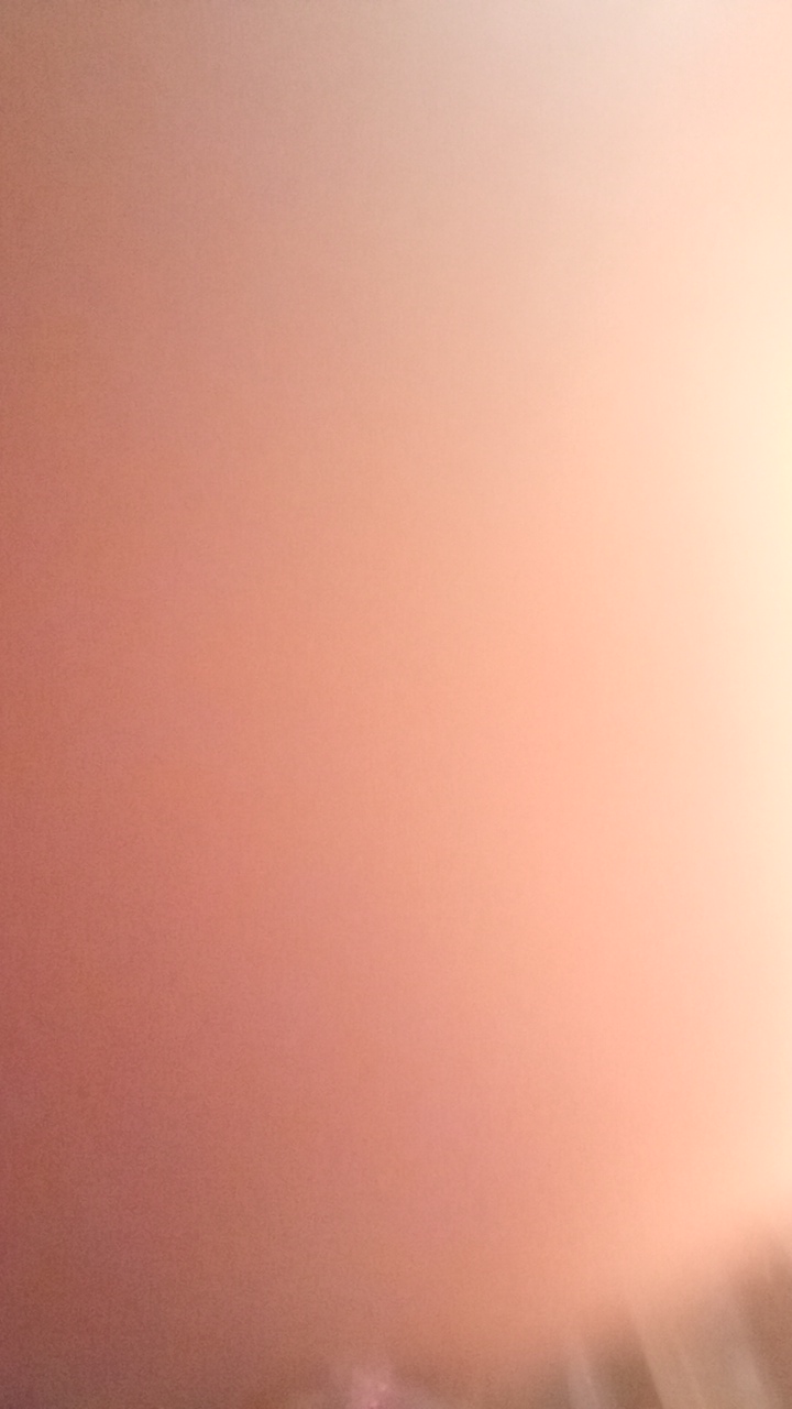 papa's profile picture