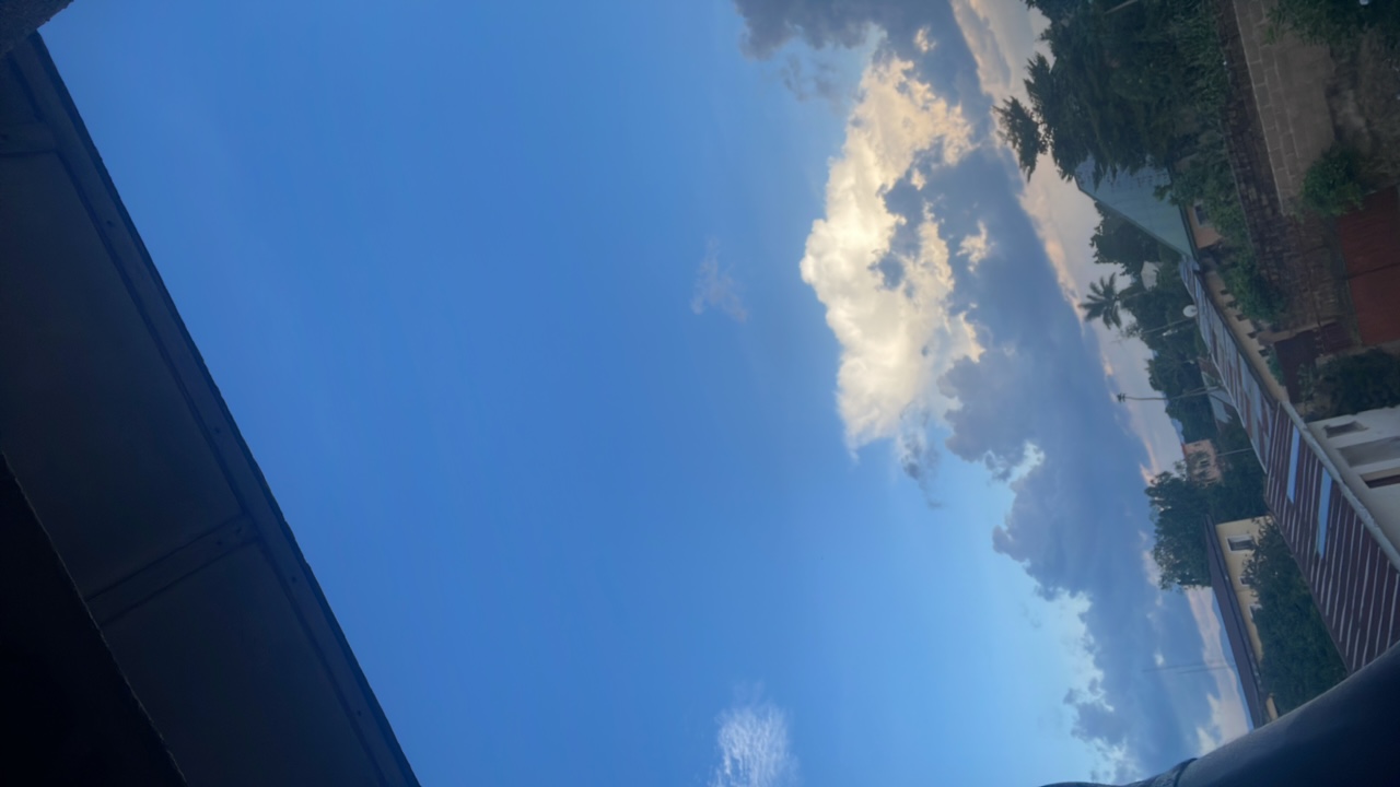 PYLOT 's profile picture