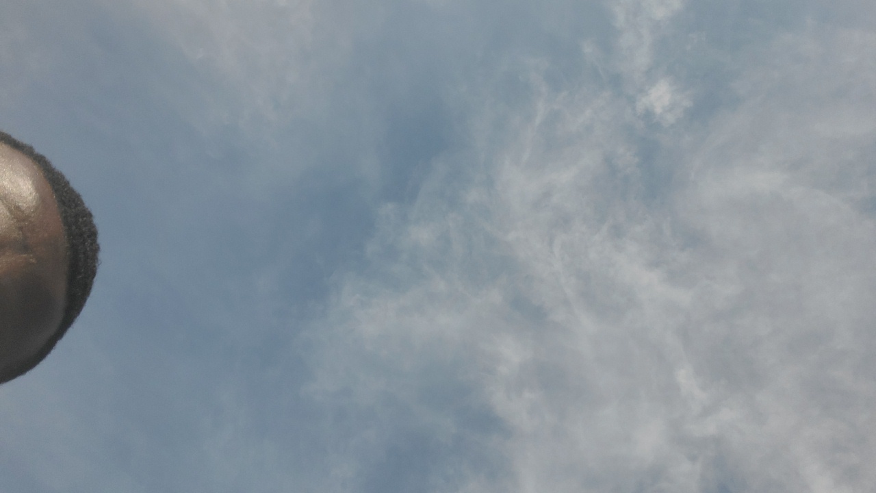 Starke's profile picture