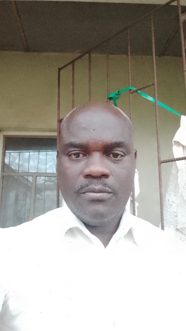 FM-Ut54Ens's profile picture