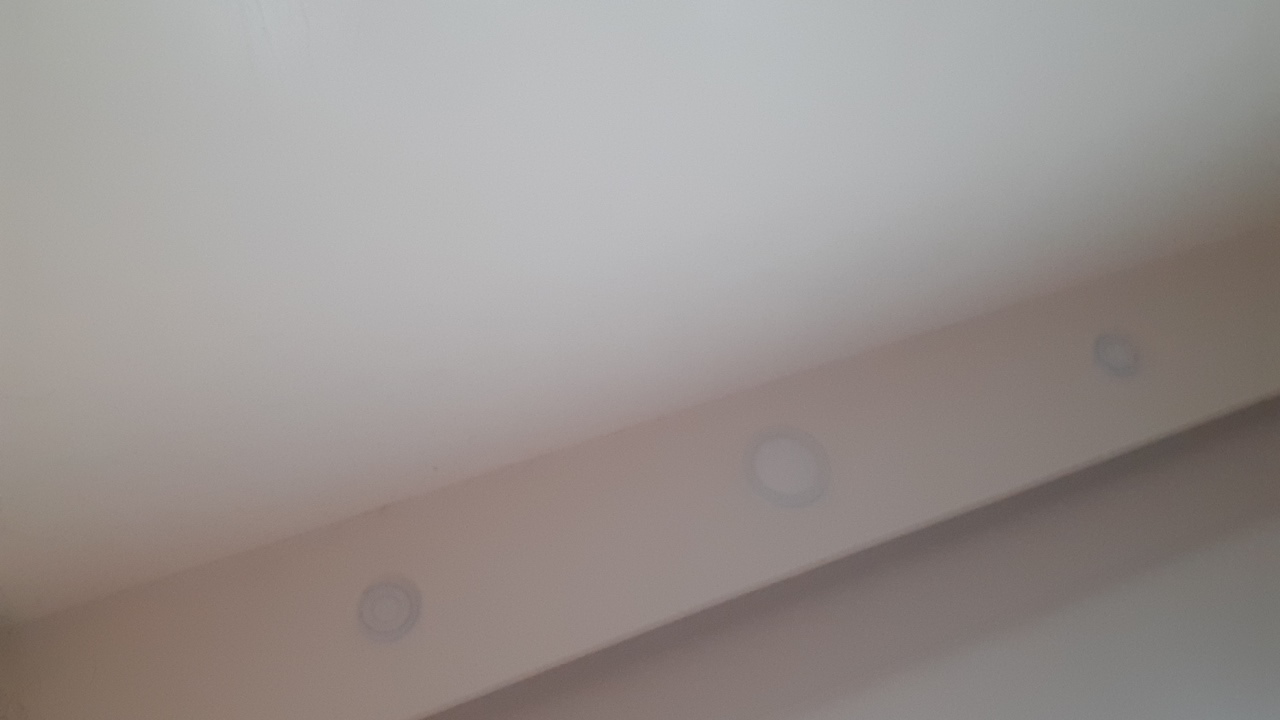 loulia's profile picture