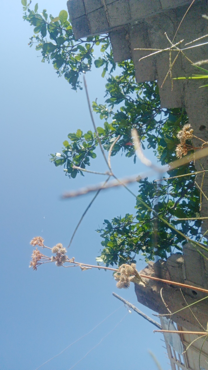 Tega's profile picture