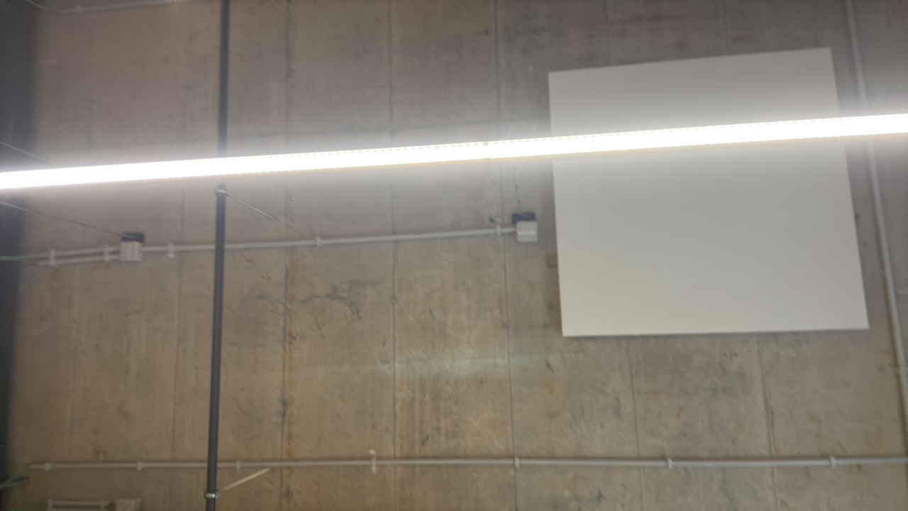 FM-y7ne82's profile picture