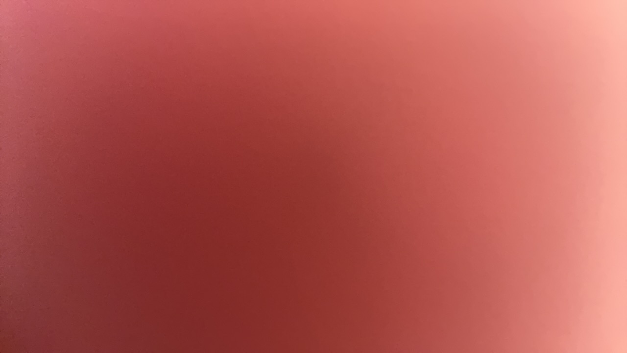 NF BLOOM's profile picture