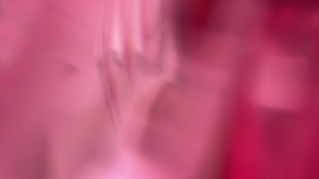 emiliajimenezr's profile picture