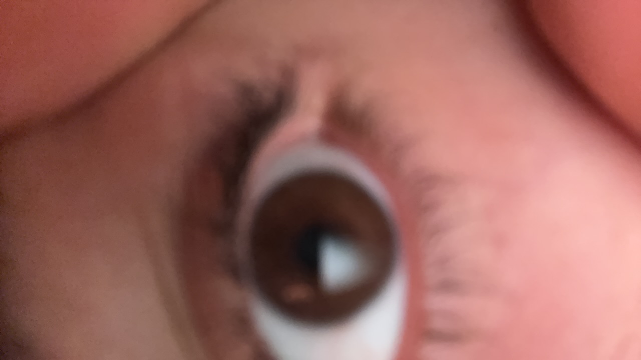 APniy5lPLoa3ZwJMTGrohrmlQb43