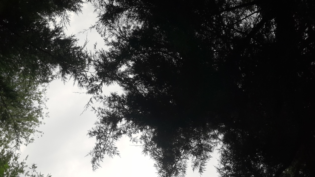 AWHyX95WX4XEgxDmfWo04TRSnFq1