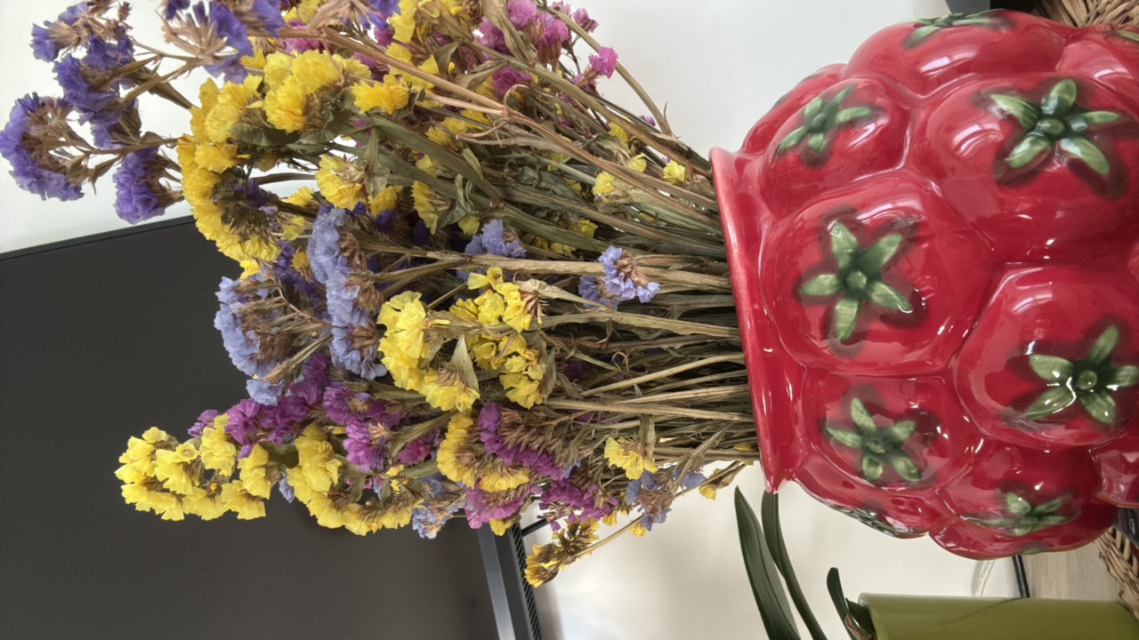 FM-o3Fqy2's profile picture