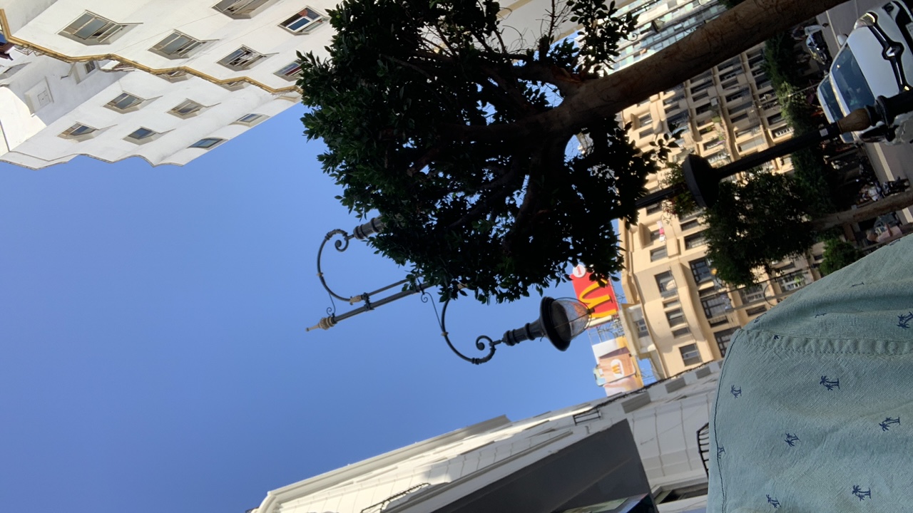 PEDROOO's profile picture