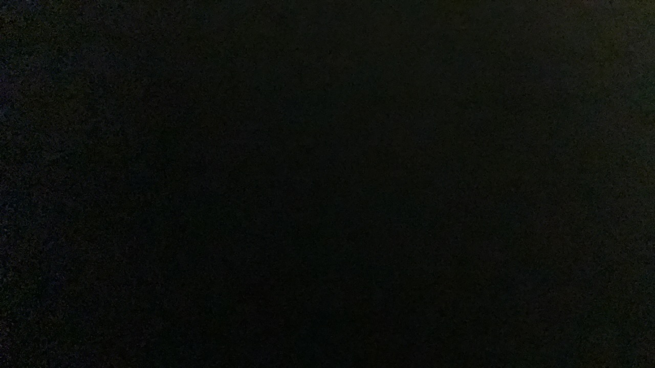 lina's profile picture