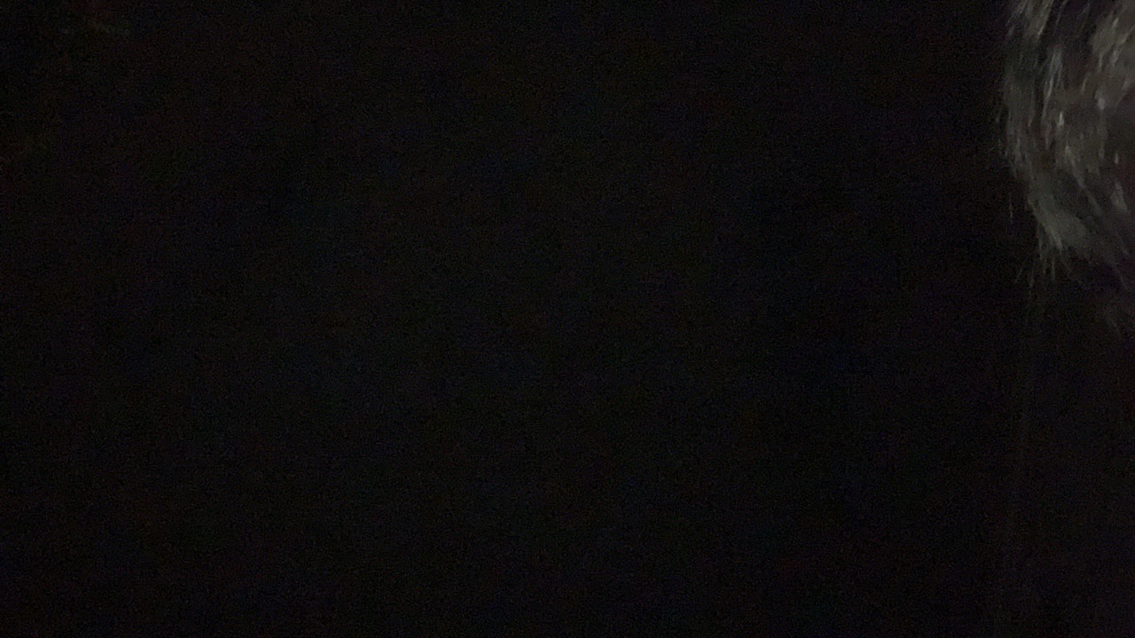 Adesha's profile picture